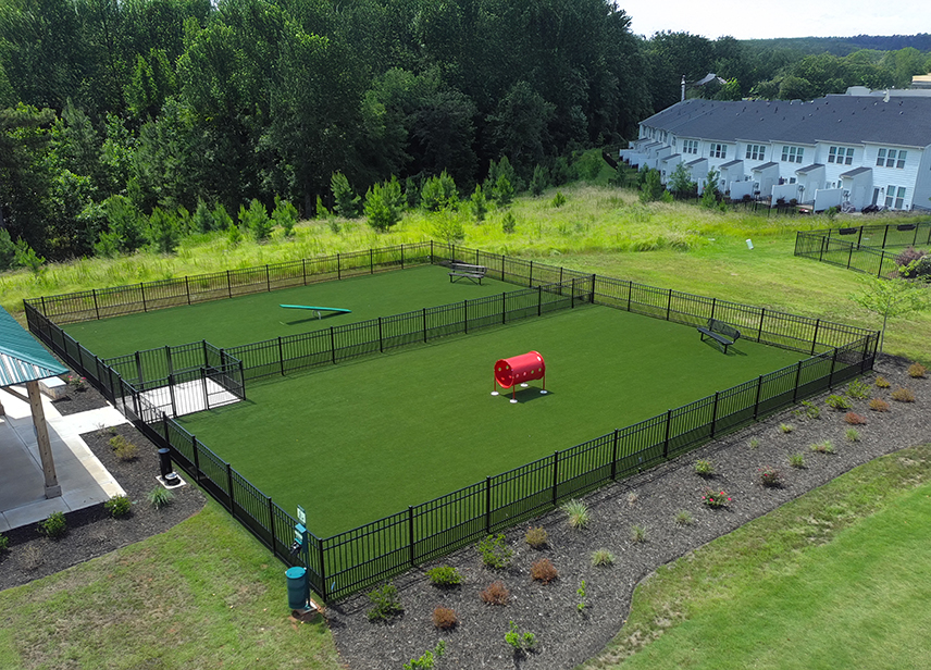 Dog Park-image