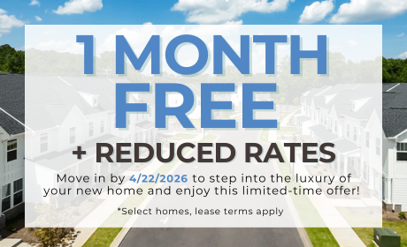 image for /shared/images/fairforest-creekside-popup-vug3ljk5.png