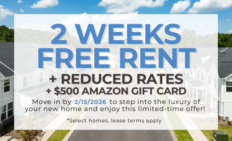 image for /shared/images/fairforest-creekside-popup-zmtsk2pw.png